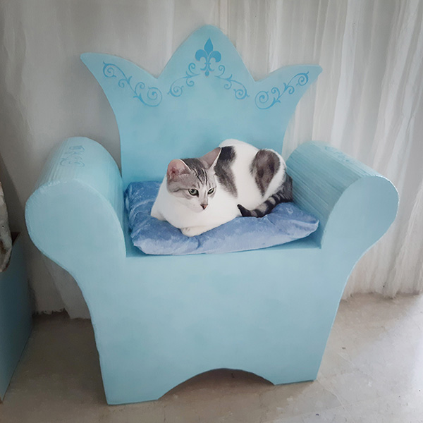 חתול על כסא מקרטון